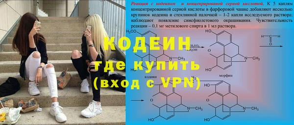 ПСИЛОЦИБИНОВЫЕ ГРИБЫ Инсар