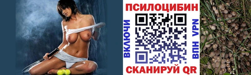 купить наркоту  Павловская  OMG tor  Галлюциногенные грибы GOLDEN TEACHER 